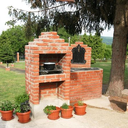 Villa Teleki エクステリア 写真