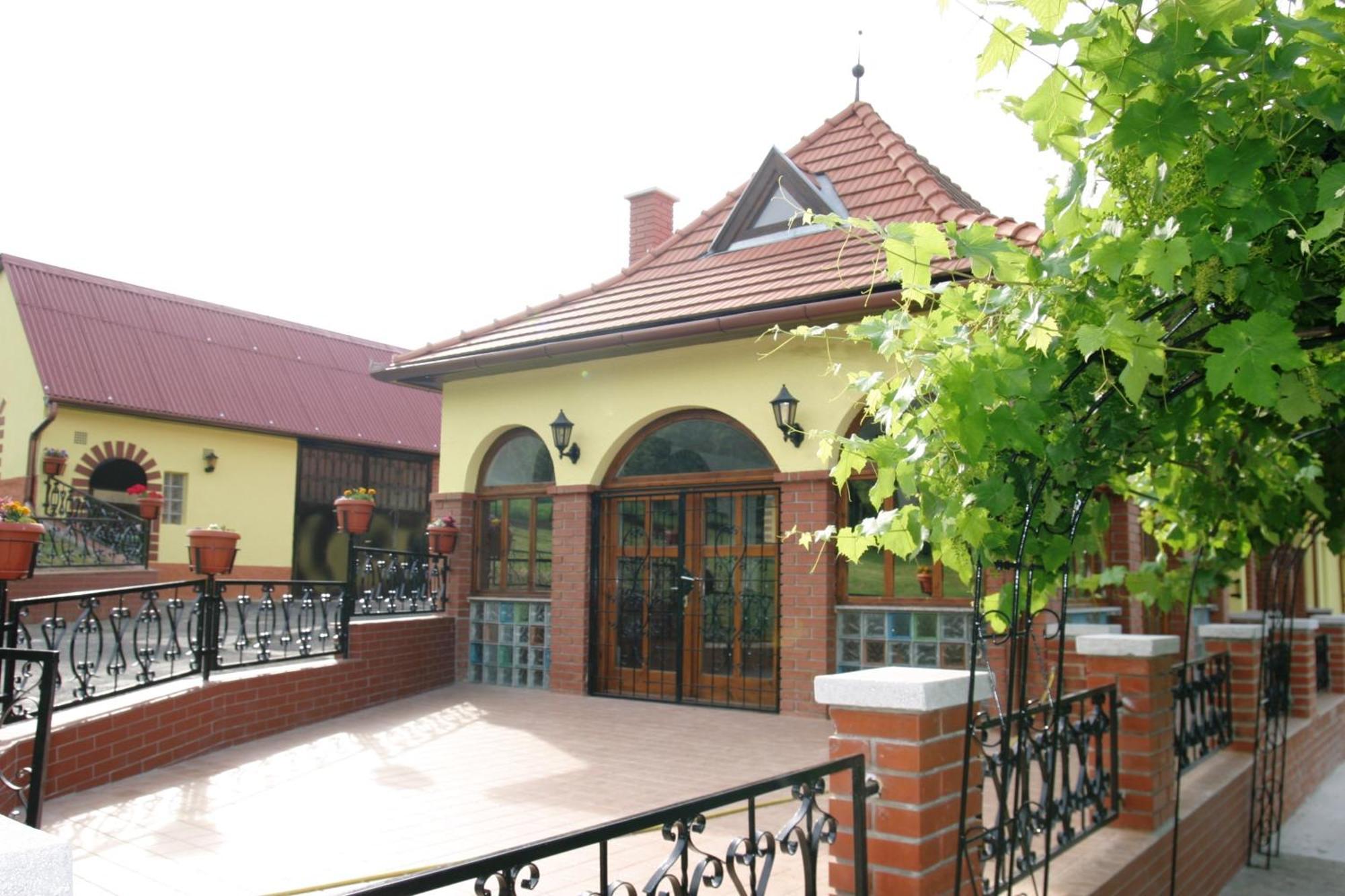 Villa Teleki エクステリア 写真