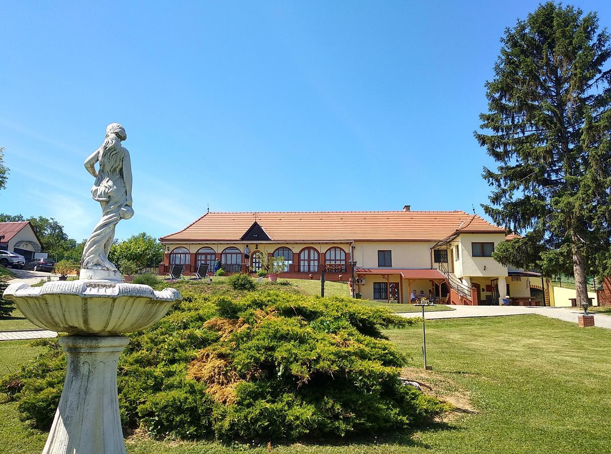 Villa Teleki エクステリア 写真