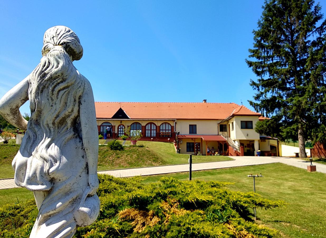 Villa Teleki エクステリア 写真