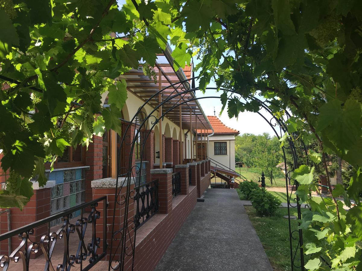 Villa Teleki エクステリア 写真