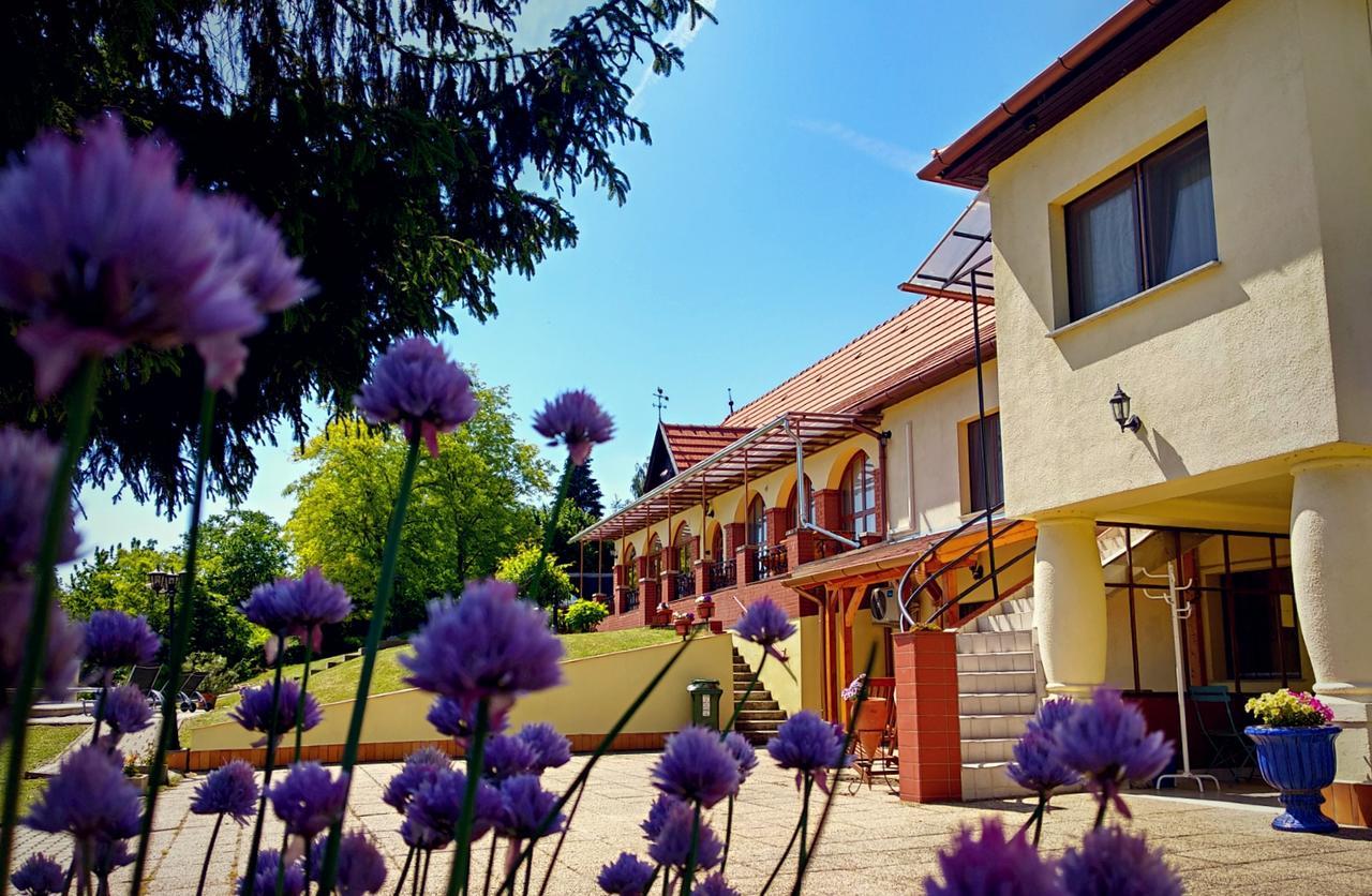 Villa Teleki エクステリア 写真